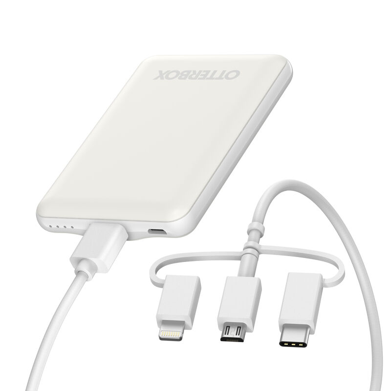 product image 1 - USB-A, USB-C, Lightning Powerbank